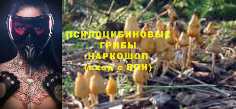 Галлюциногенные грибы GOLDEN TEACHER  Никольск 